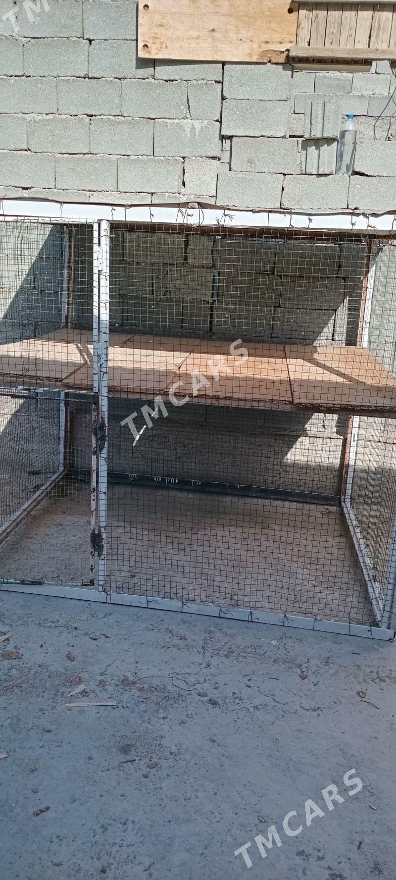 towuk ketek 2 etaž - Garadamak Şor - img 2