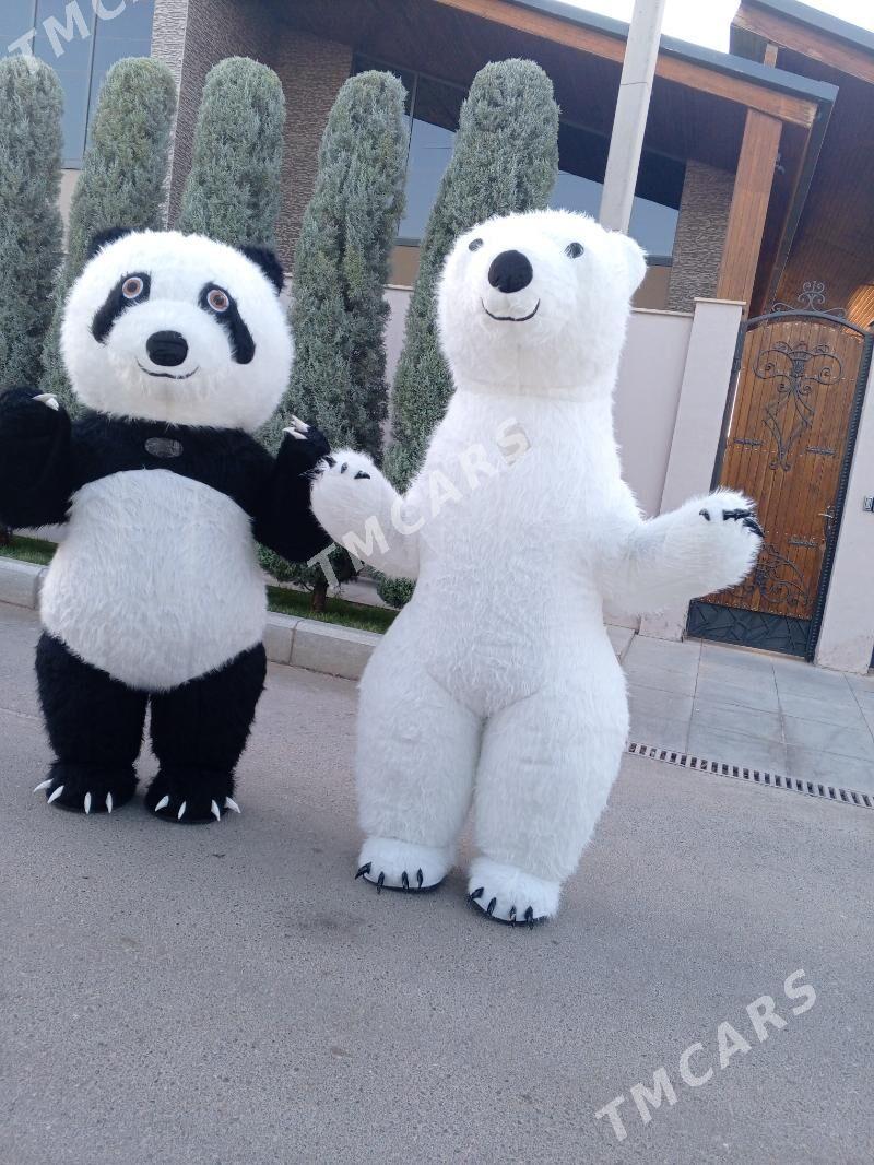 panda ayyjyklar show - Aşgabat - img 4