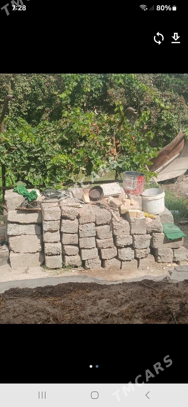 Tumba - Daşoguz - img 2