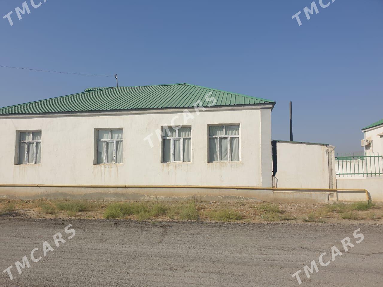 Satlyk ipteka jaÿ - Гёкдепе - img 8