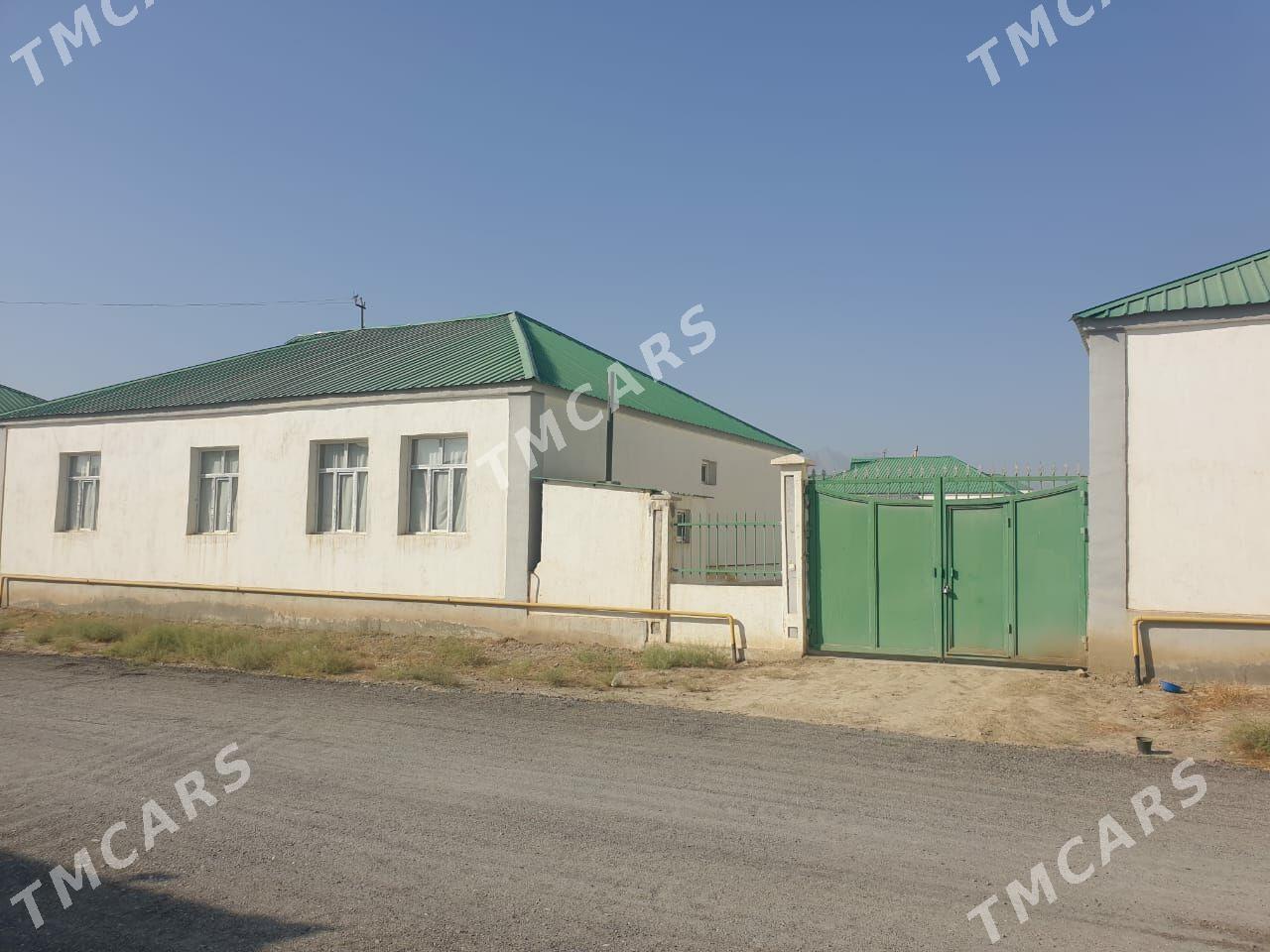 Satlyk ipteka jaÿ - Гёкдепе - img 7