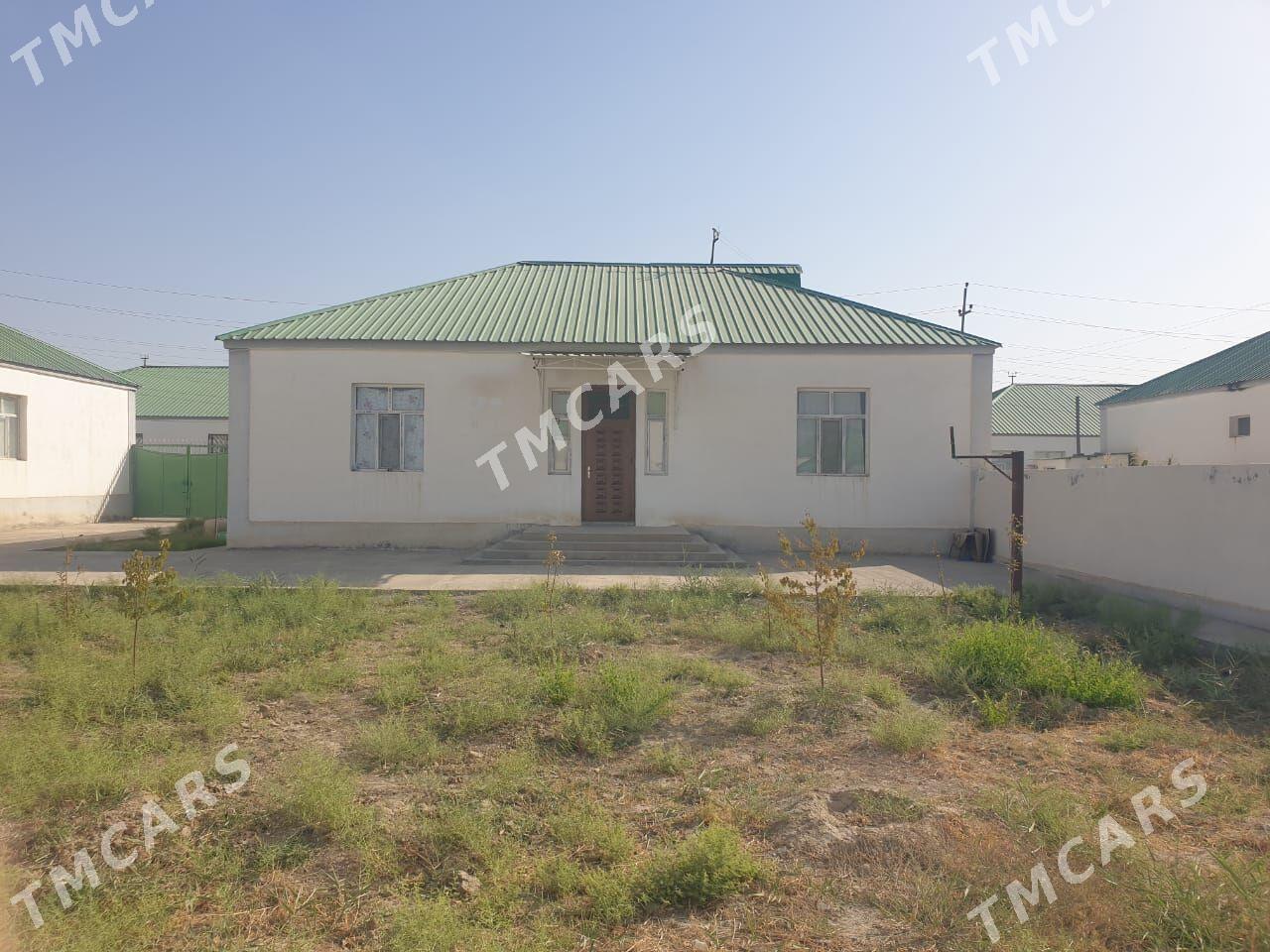 Satlyk ipteka jaÿ - Гёкдепе - img 4