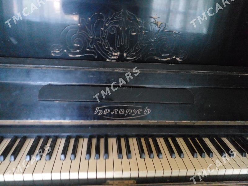 Pianino  belarus - Чарджоу - img 1