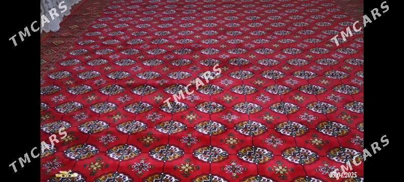 abadan haly - Sakarçäge - img 2