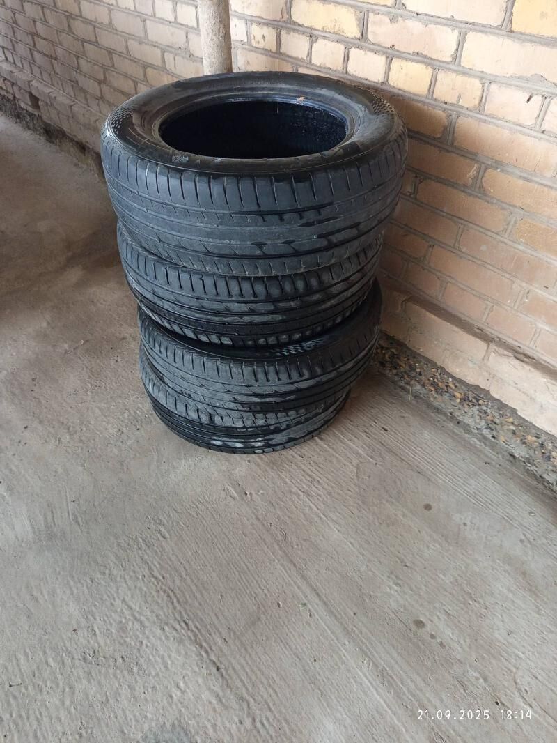 Balon pakryska 1 200 TMT - Türkmenabat - img 2