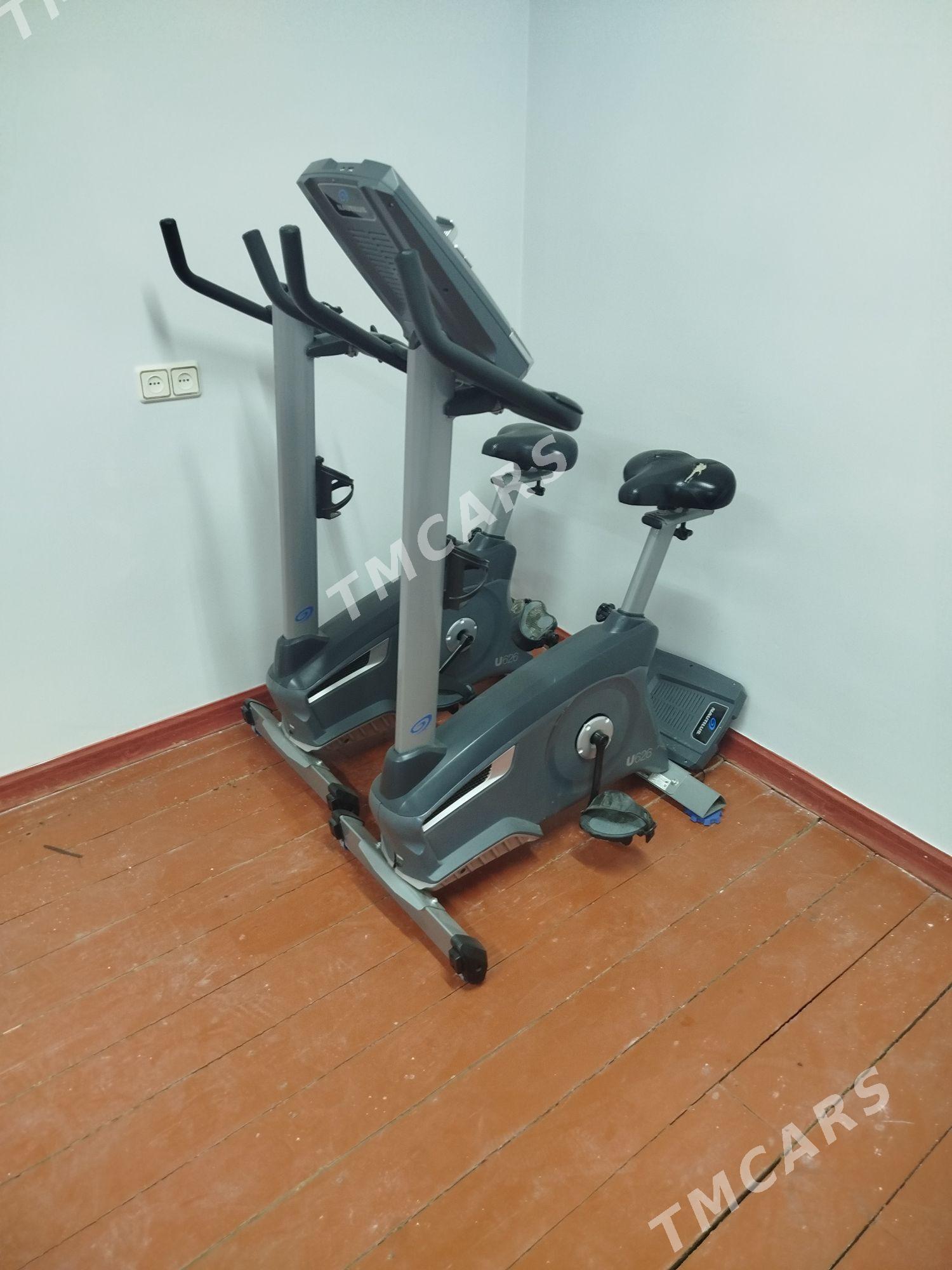 Tigir Trenazor Ulysy130kg Вело - Ашхабад - img 1