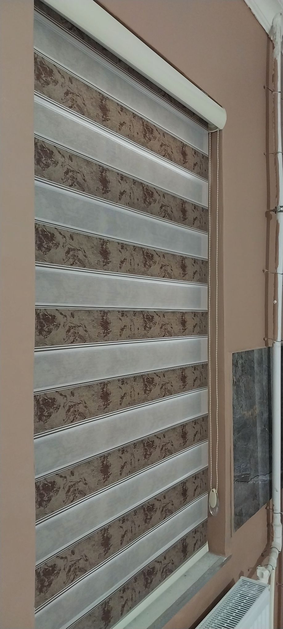 zalyuz jalyuz tutula - Änew - img 6