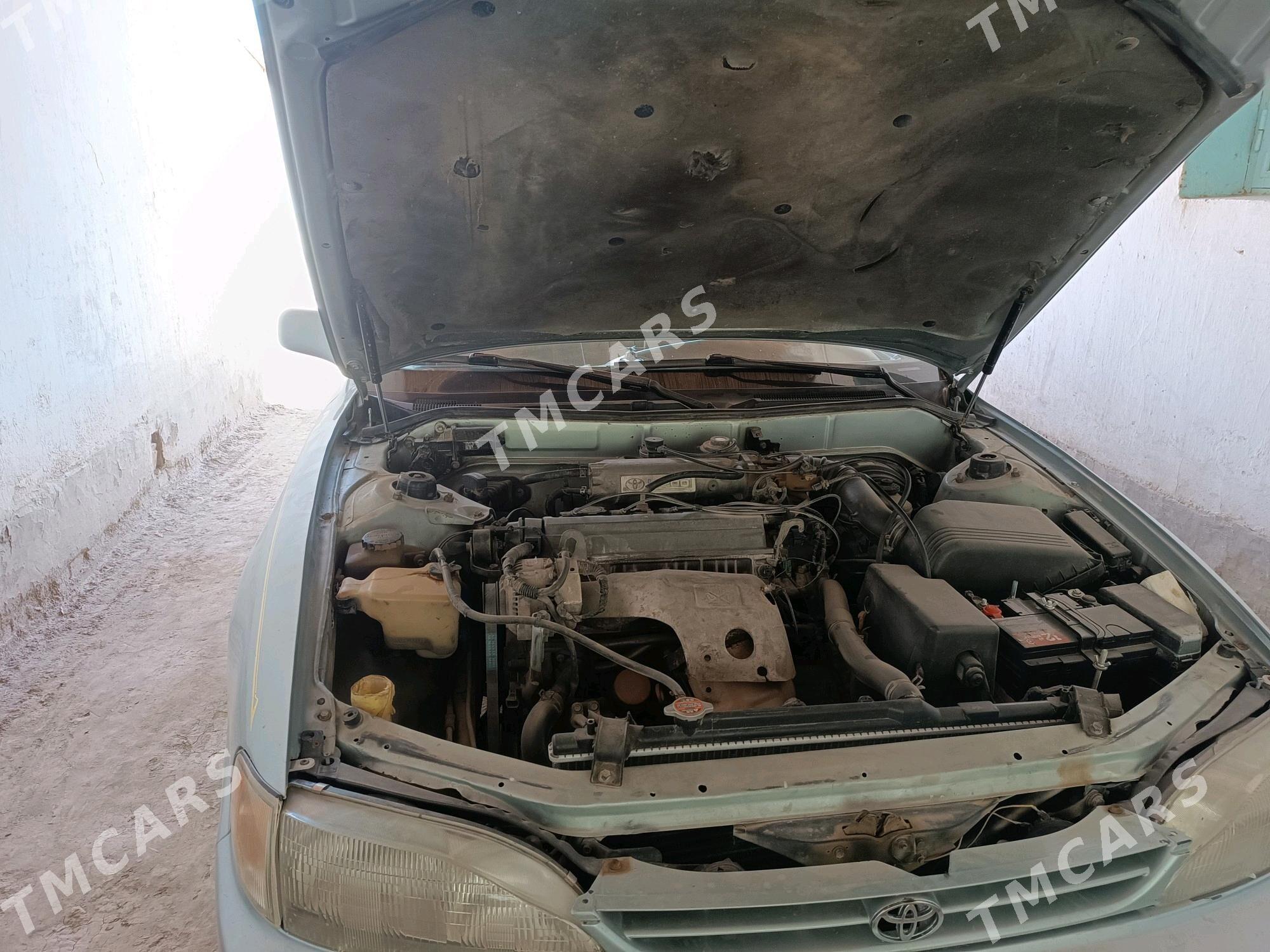Toyota Camry 1995 - 90 000 TMT - Халач - img 6