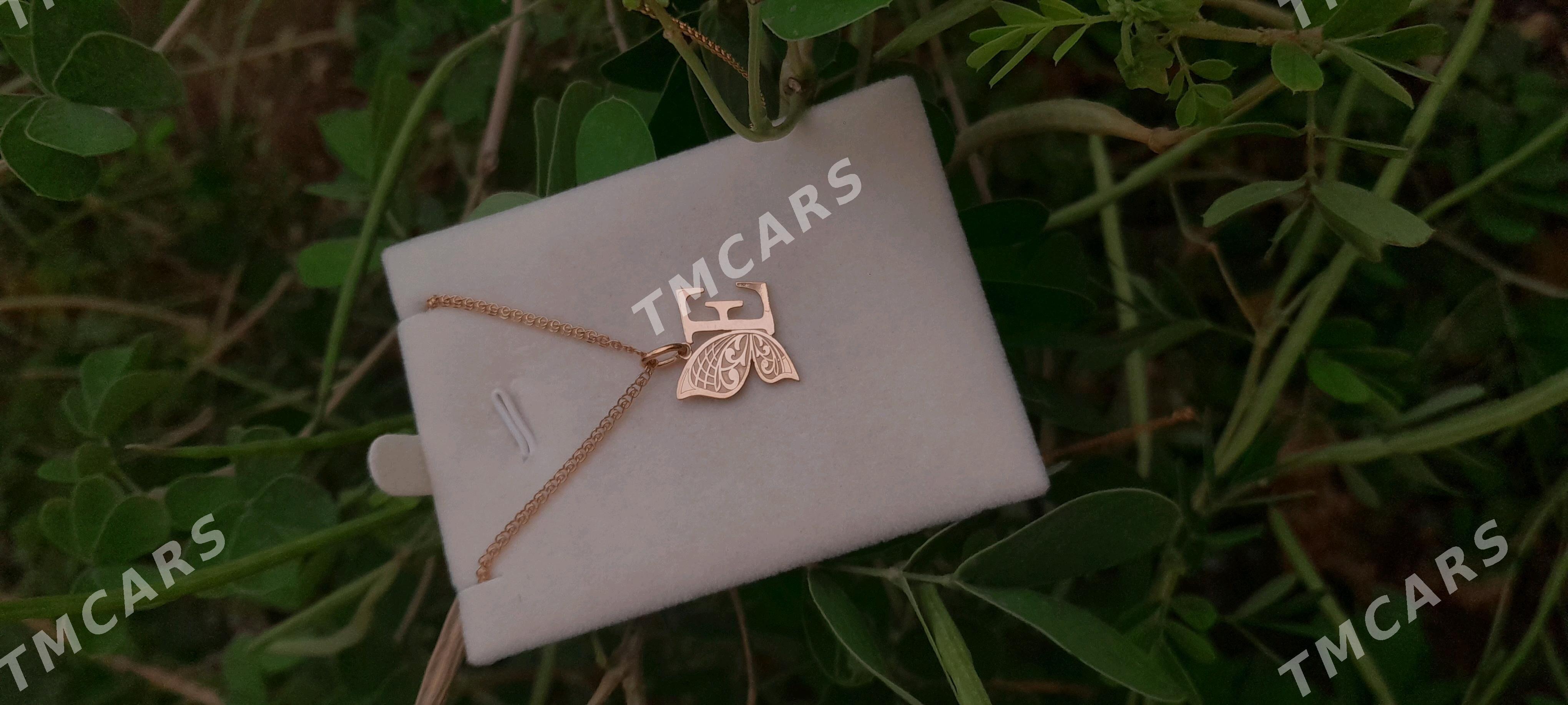 Kebelek  haryp  Kümuş - Aşgabat - img 1