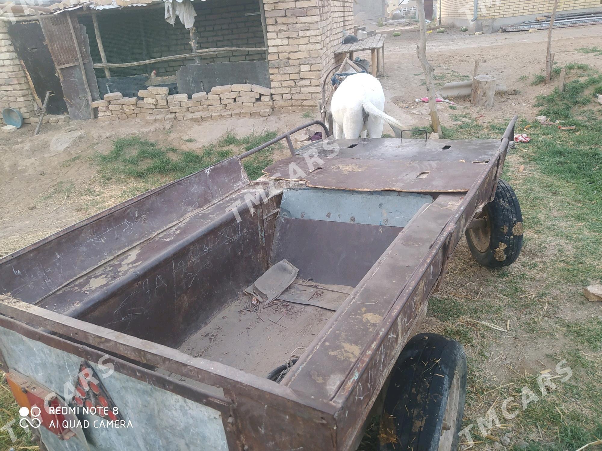 Esek araba bilen - Murgap - img 3