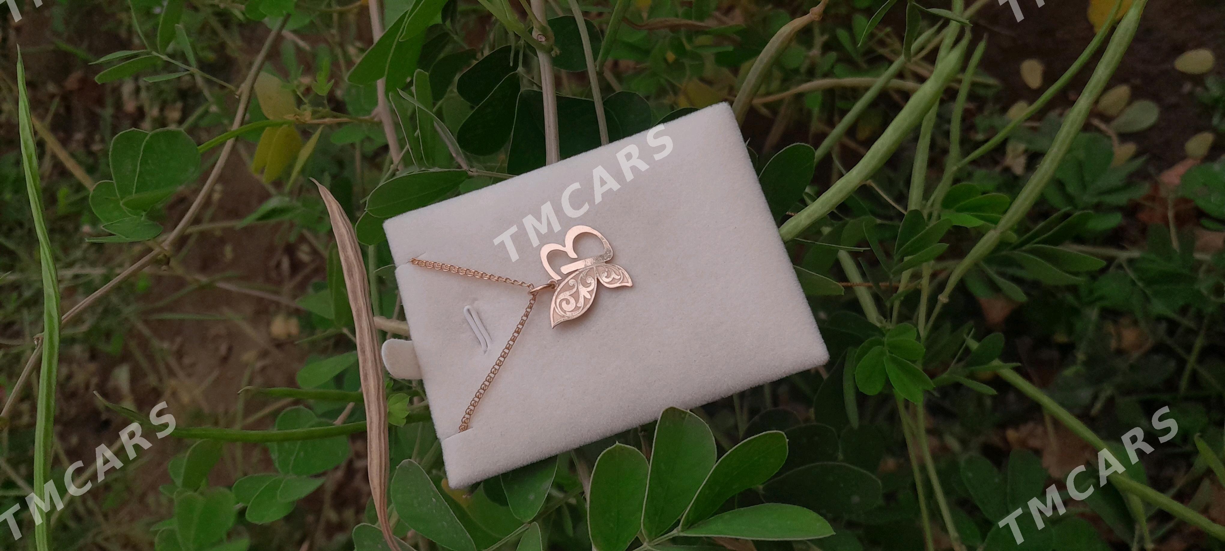  Kebelek  haryp  Kümuş - Ашхабад - img 2