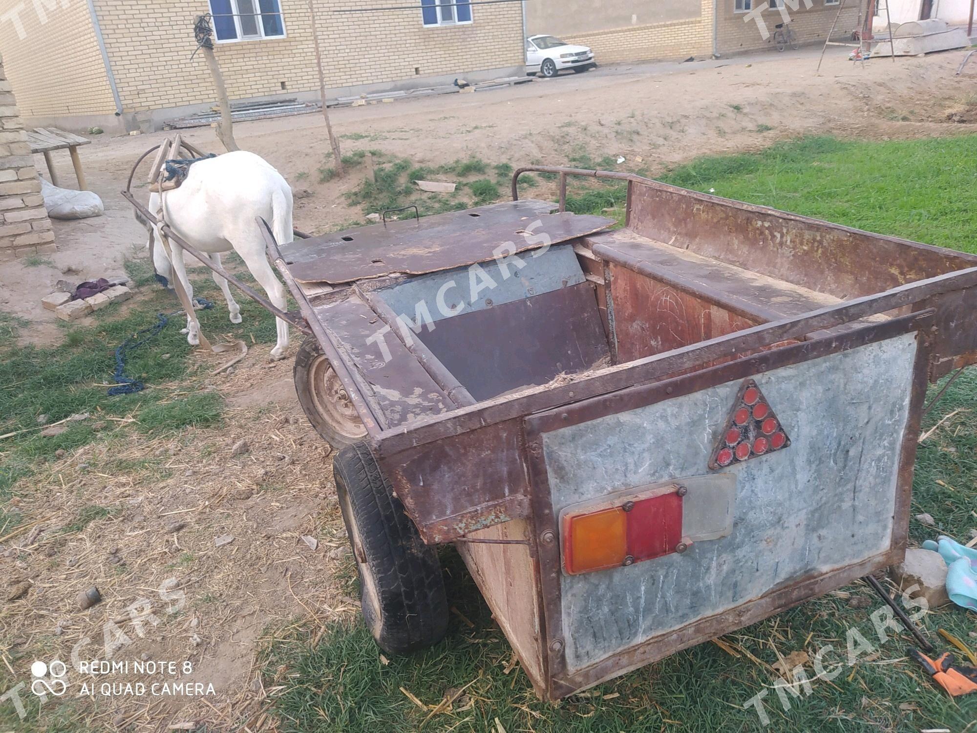 Esek araba bilen - Murgap - img 4