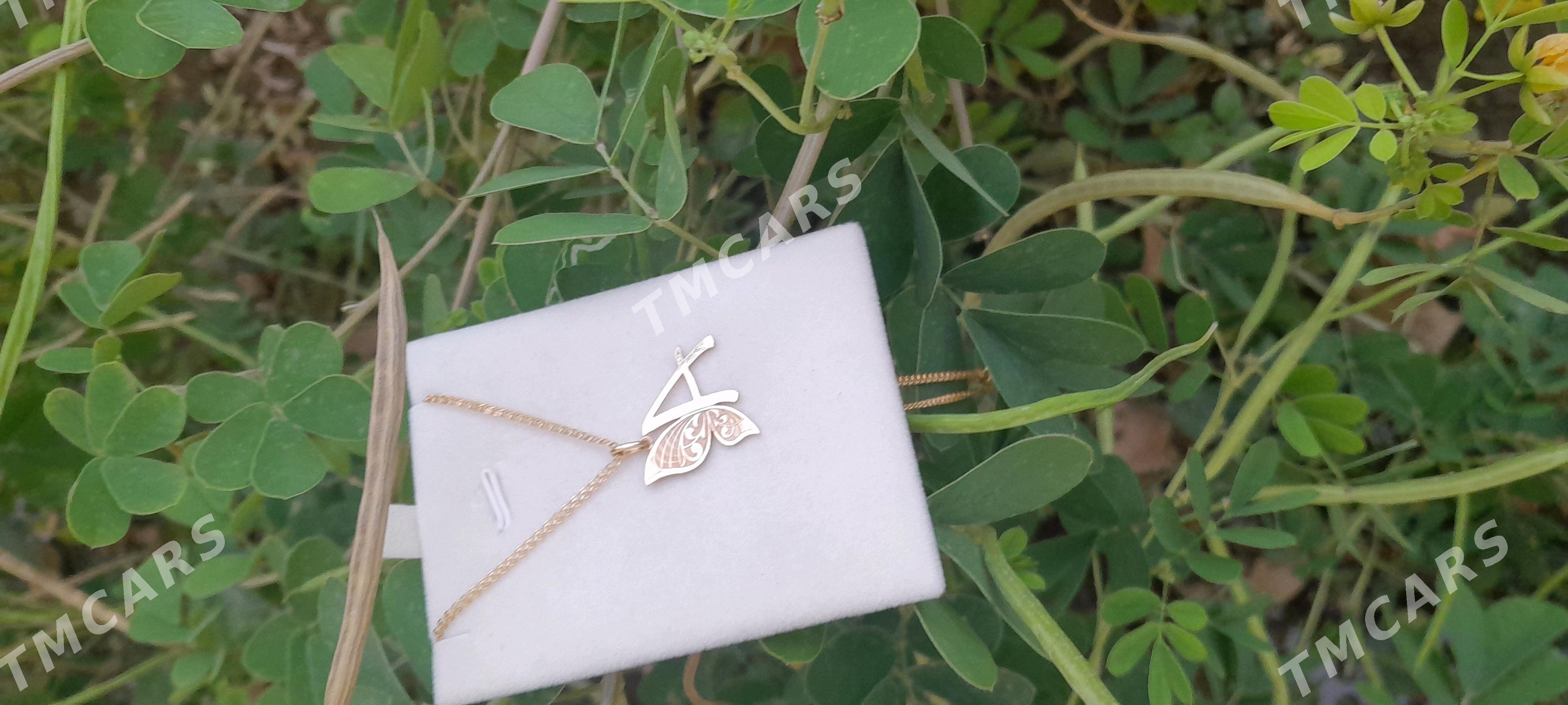  Kebelek  haryp  Kümuş - Ашхабад - img 3