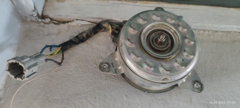 Matorchik 250 TMT - Анев - img 2