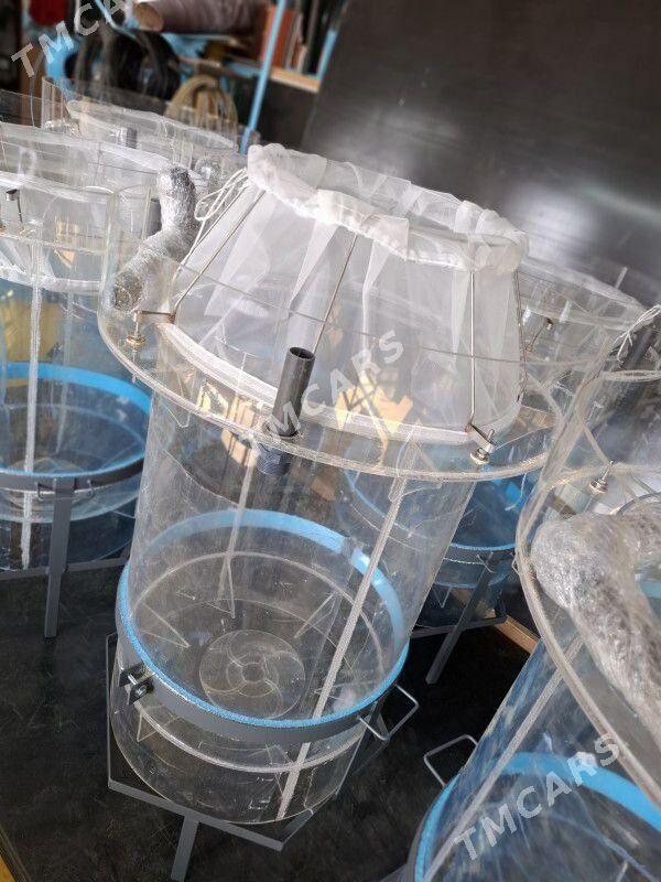 Балык инкубатор - Türkmenabat - img 4