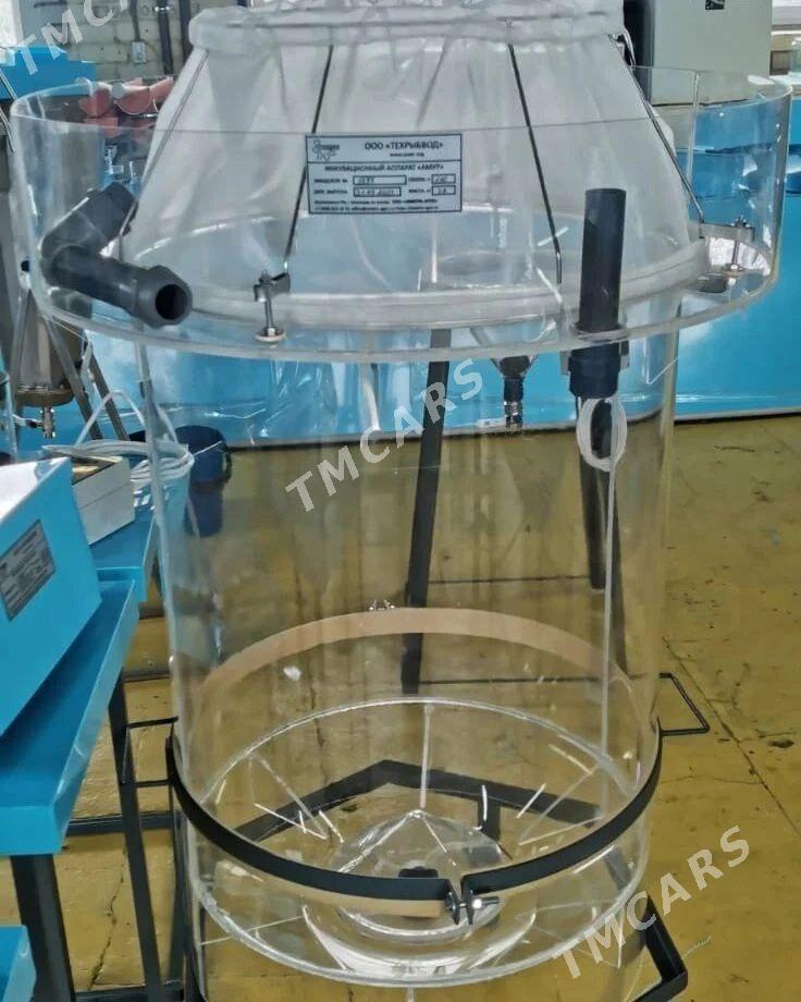 Балык инкубатор - Türkmenabat - img 3