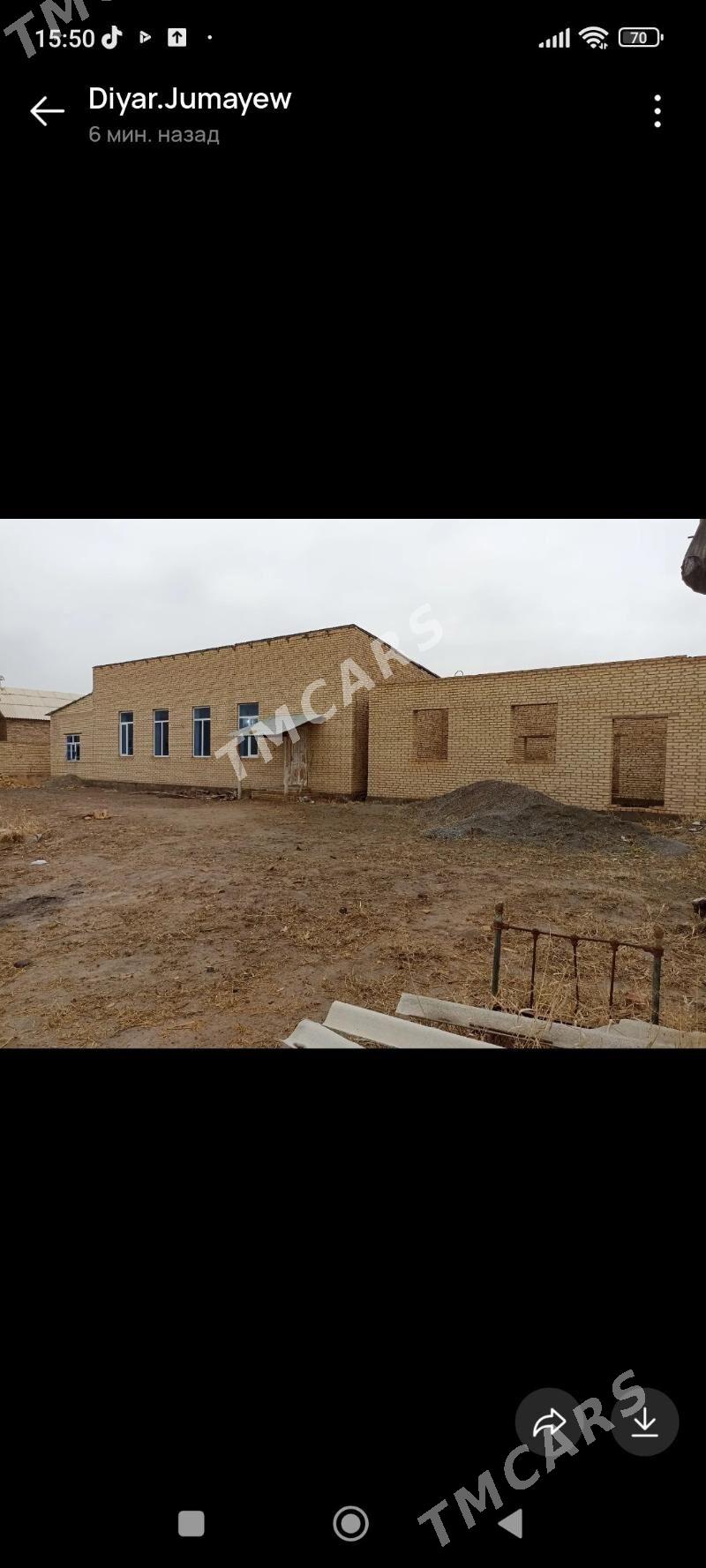 Howlu mellek cay Türkmenabat - Türkmenabat - img 5
