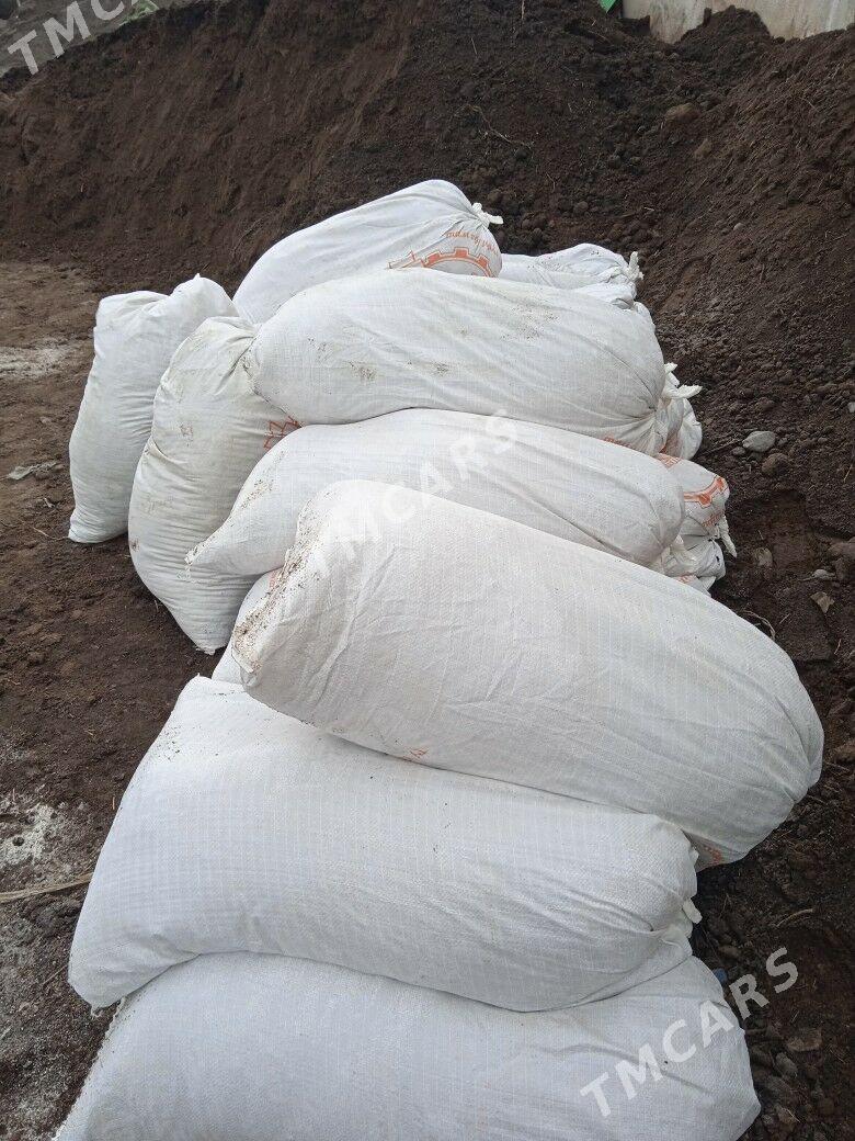 ders - Aşgabat - img 1