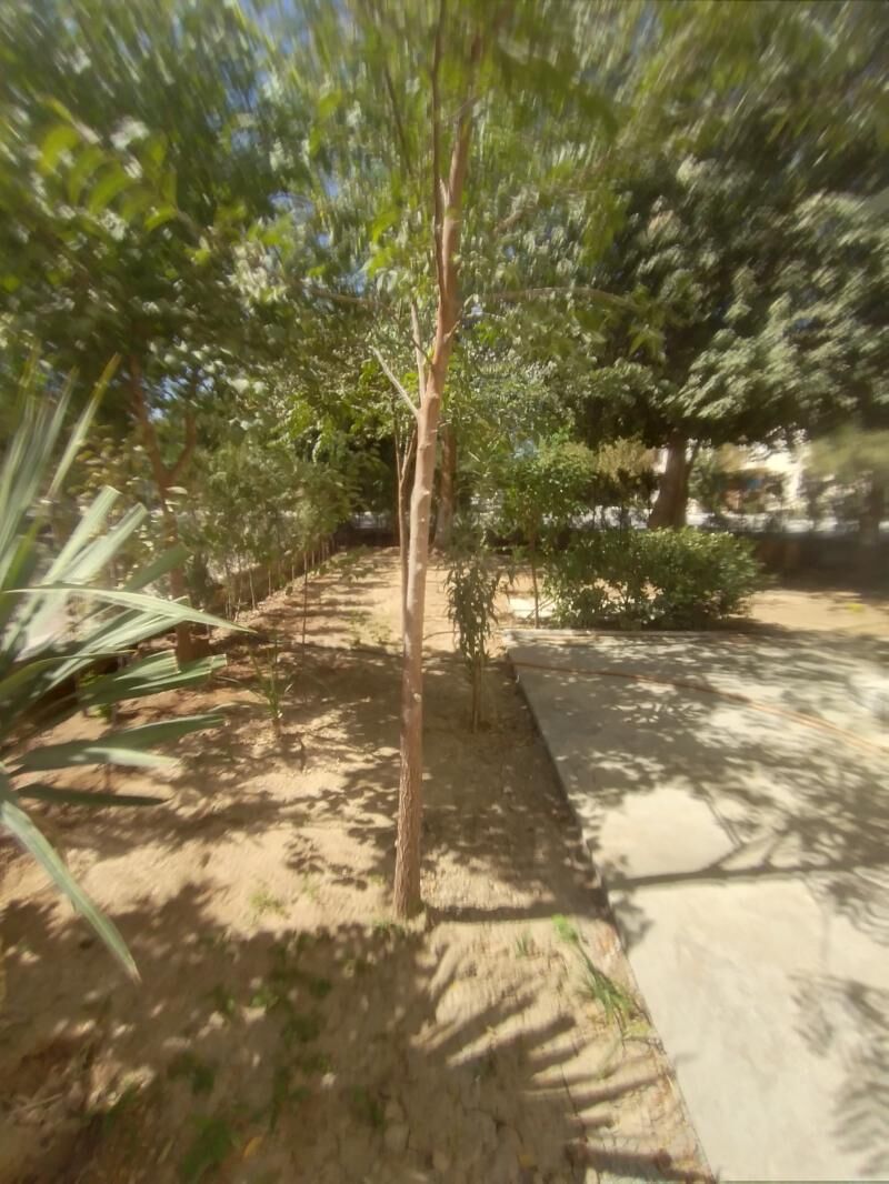 Arenda 30mkr - Aşgabat - img 10