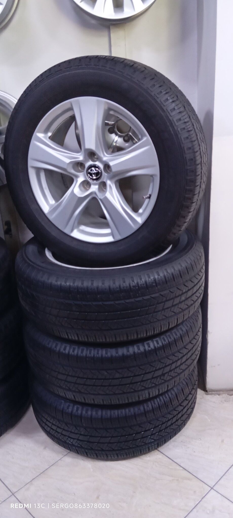 HAYLANDER 4 000 TMT - Bedew - img 1