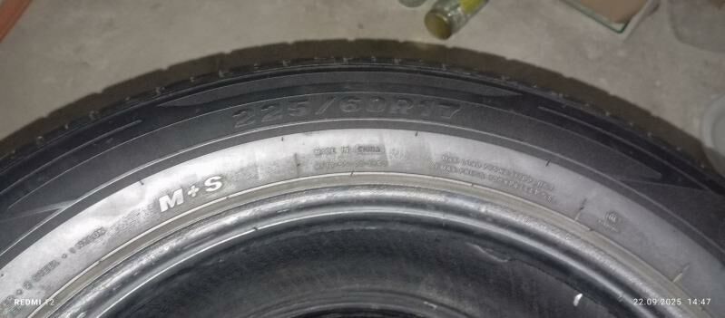 Teker 250 TMT - Arkadag - img 6