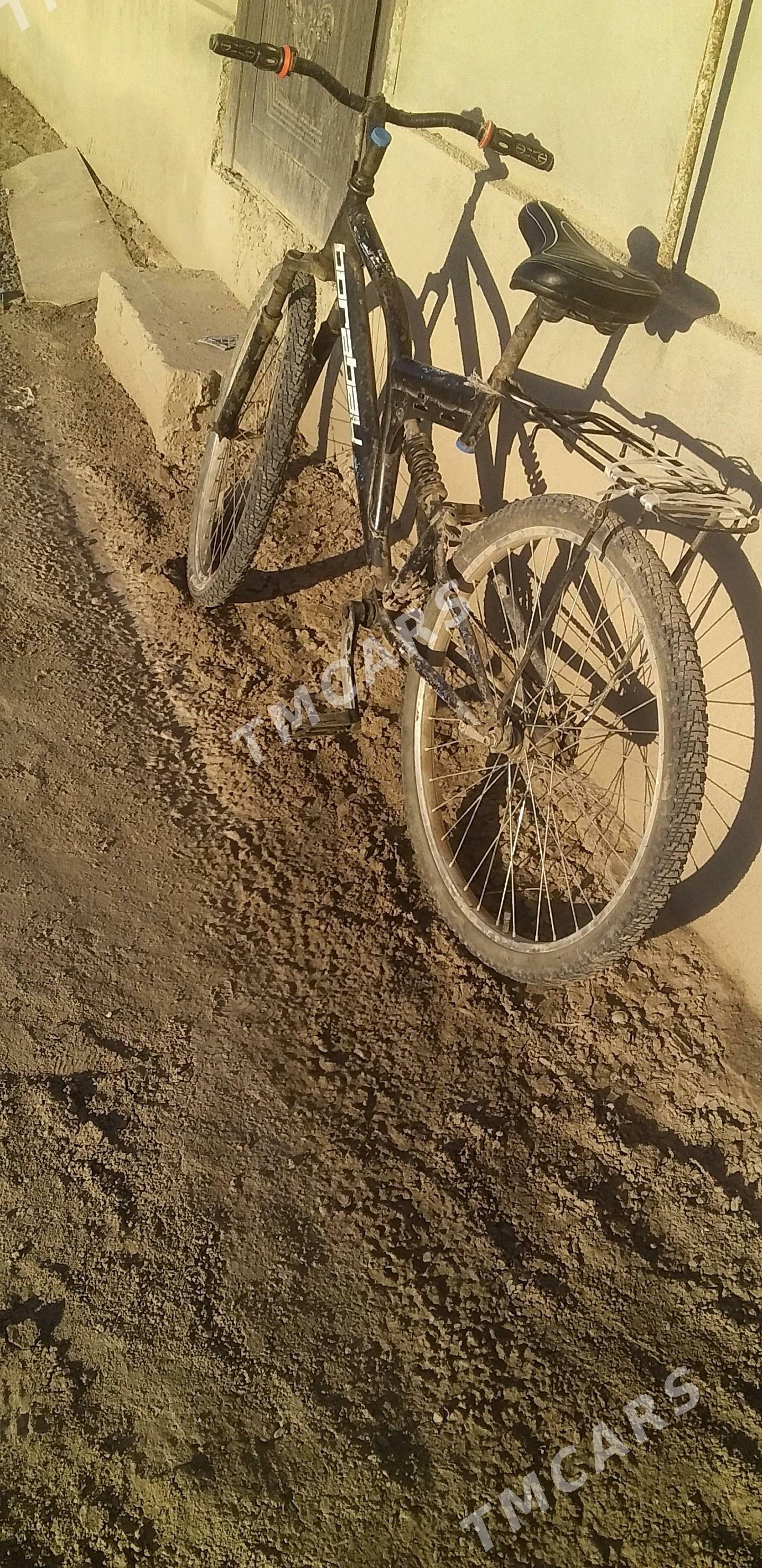 welli - Шабатский этрап - img 1