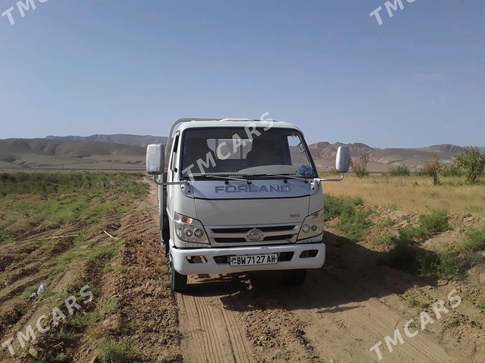 Forland H2 2015 - 130 000 TMT - Яшлык - img 3