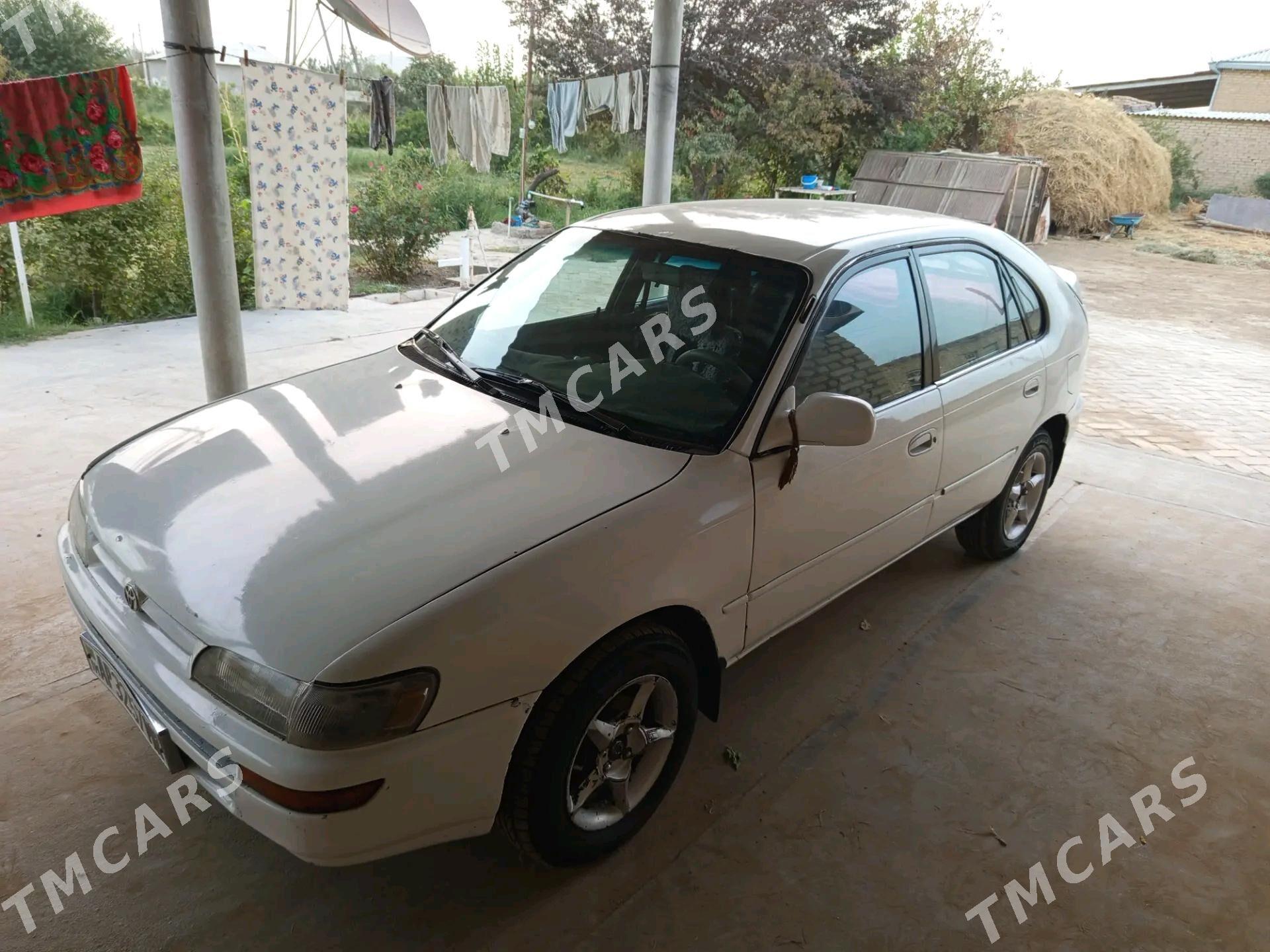 Toyota Corolla 1995 - 40 000 TMT - Туркменгала - img 2