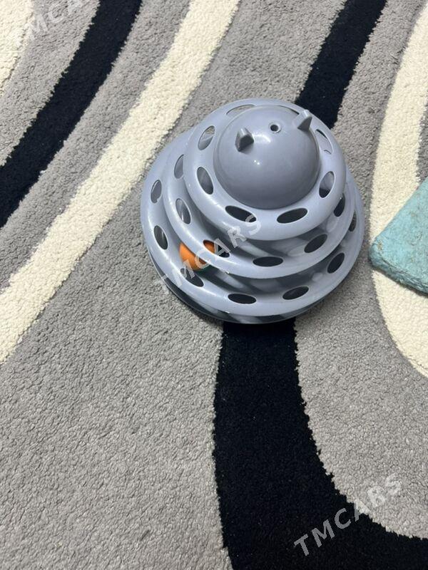 коктиточка - 30 mkr - img 2