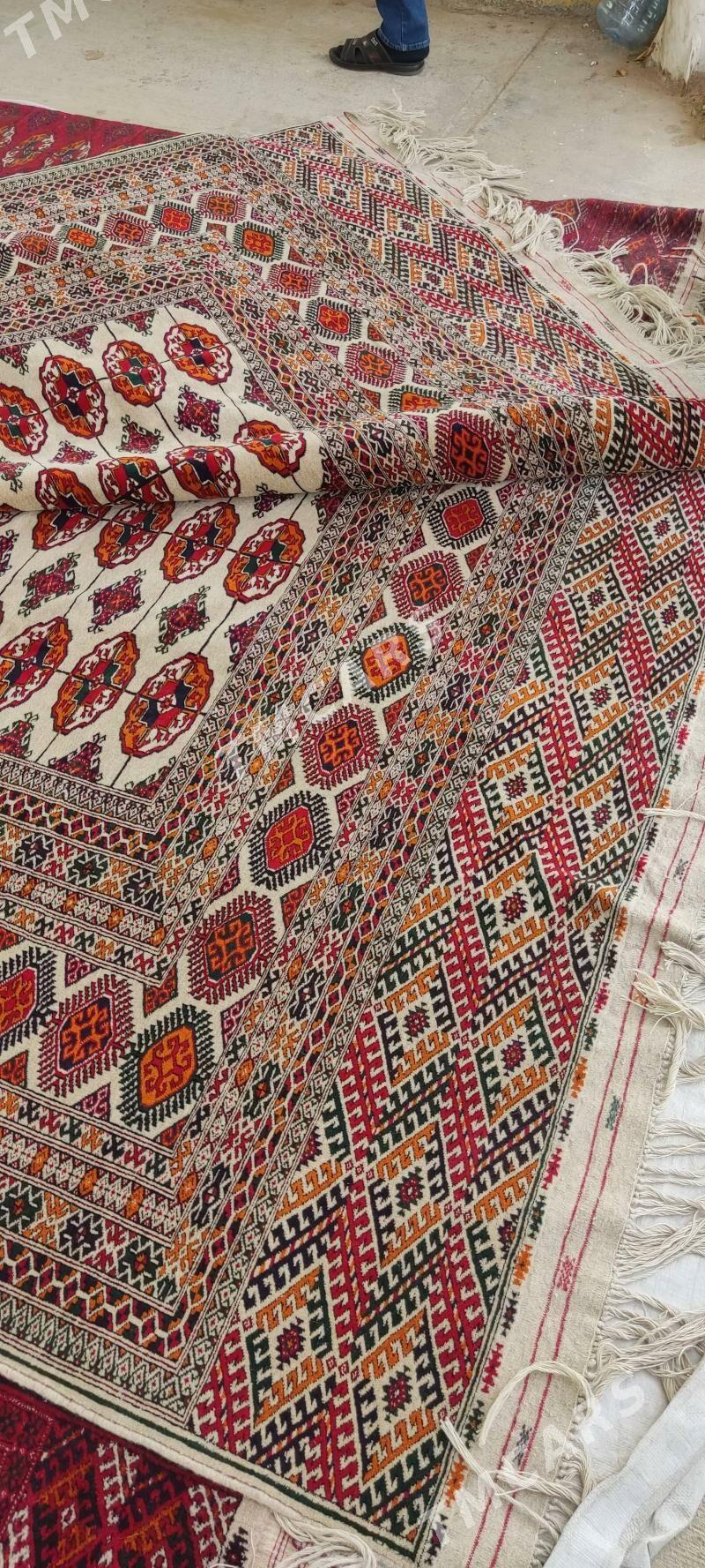 el haly 4/6 - Bäherden - img 2