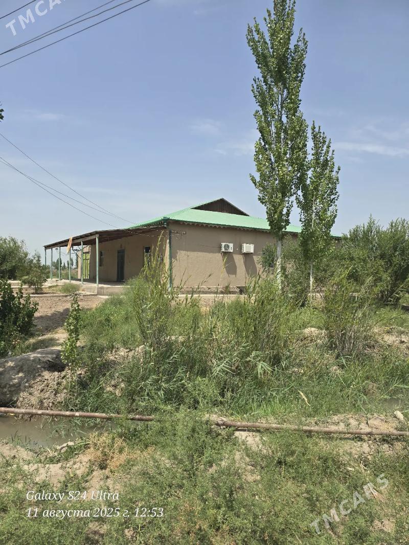 Satlyk jaý Akdepe - Akdepe - img 2