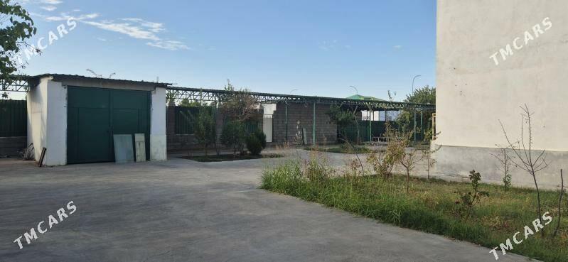 taze zaman kates - Ашхабад - img 2