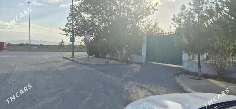 taze zaman kates - Ашхабад - img 6