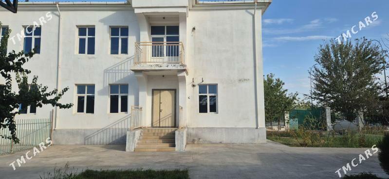 taze zaman kates - Ашхабад - img 5