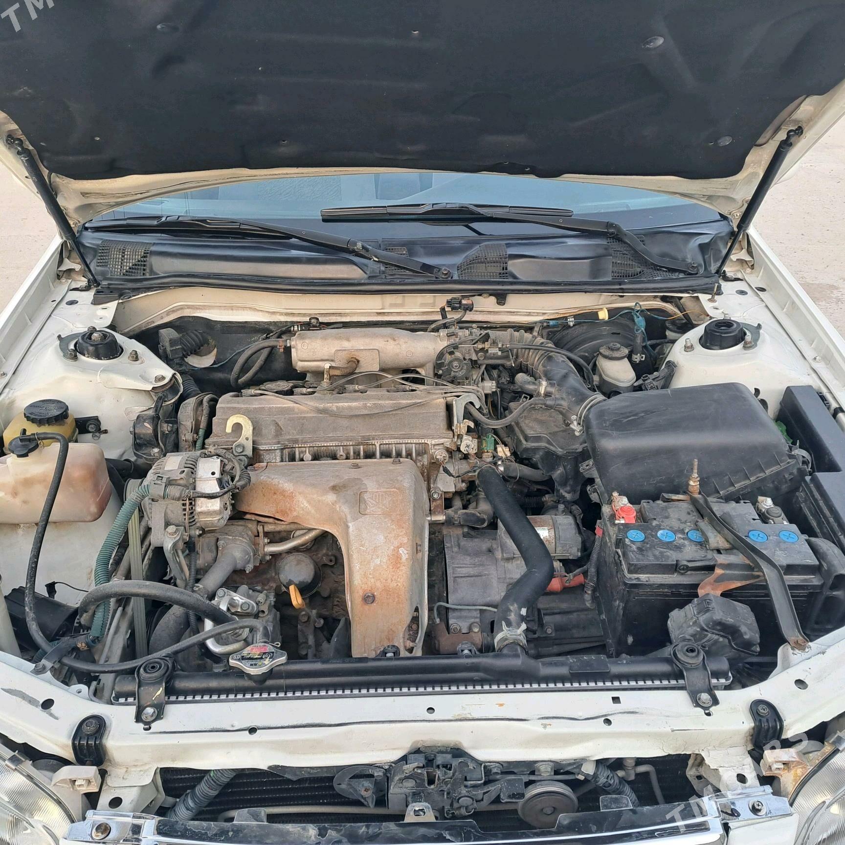 Toyota Camry 1998 - 135 000 TMT - Halaç - img 2