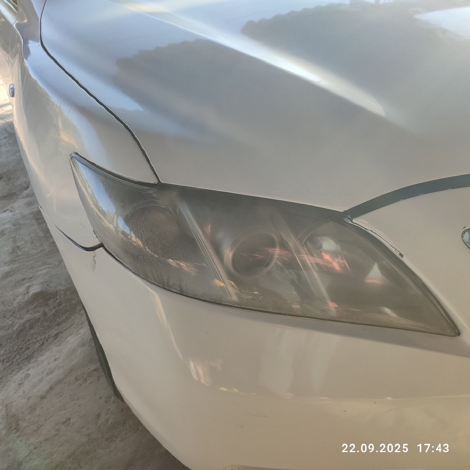 okuz kelle far 800 TMT - Гороглы (Тагта) - img 2