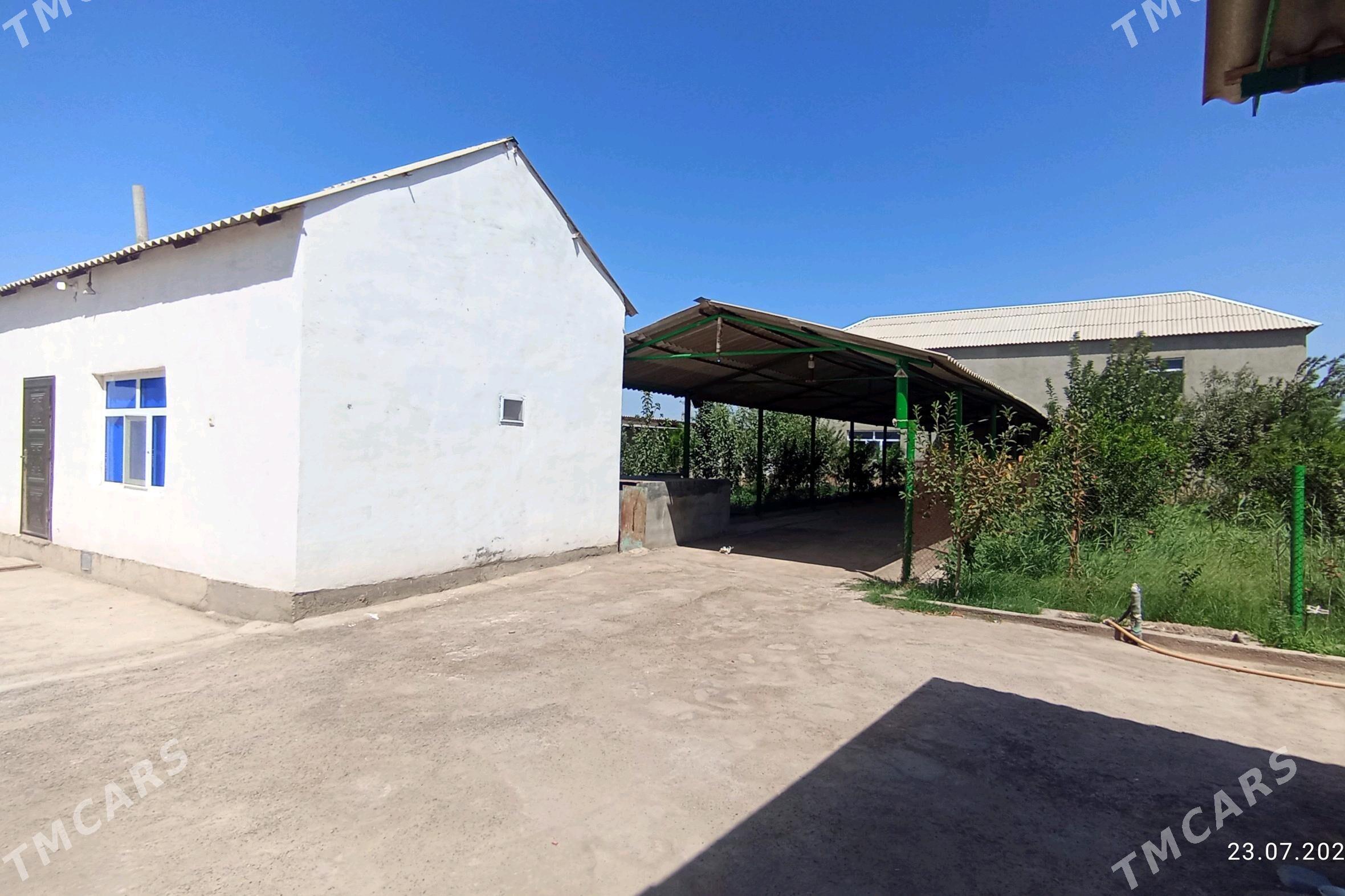 satlyk jaý - Бабадайхан - img 2