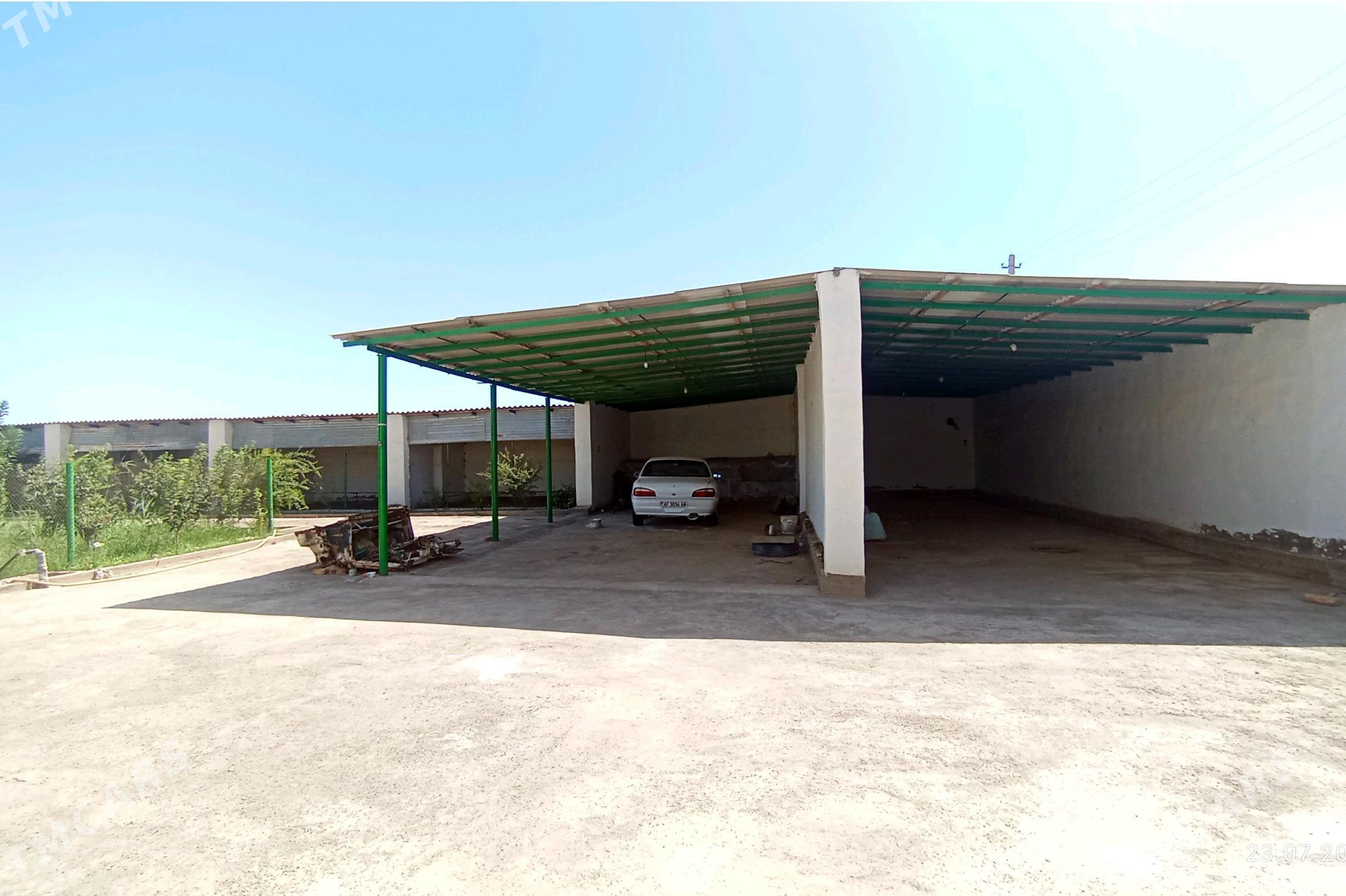 satlyk jaý - Бабадайхан - img 3