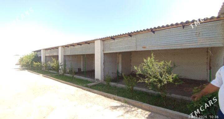 satlyk jaý - Бабадайхан - img 4