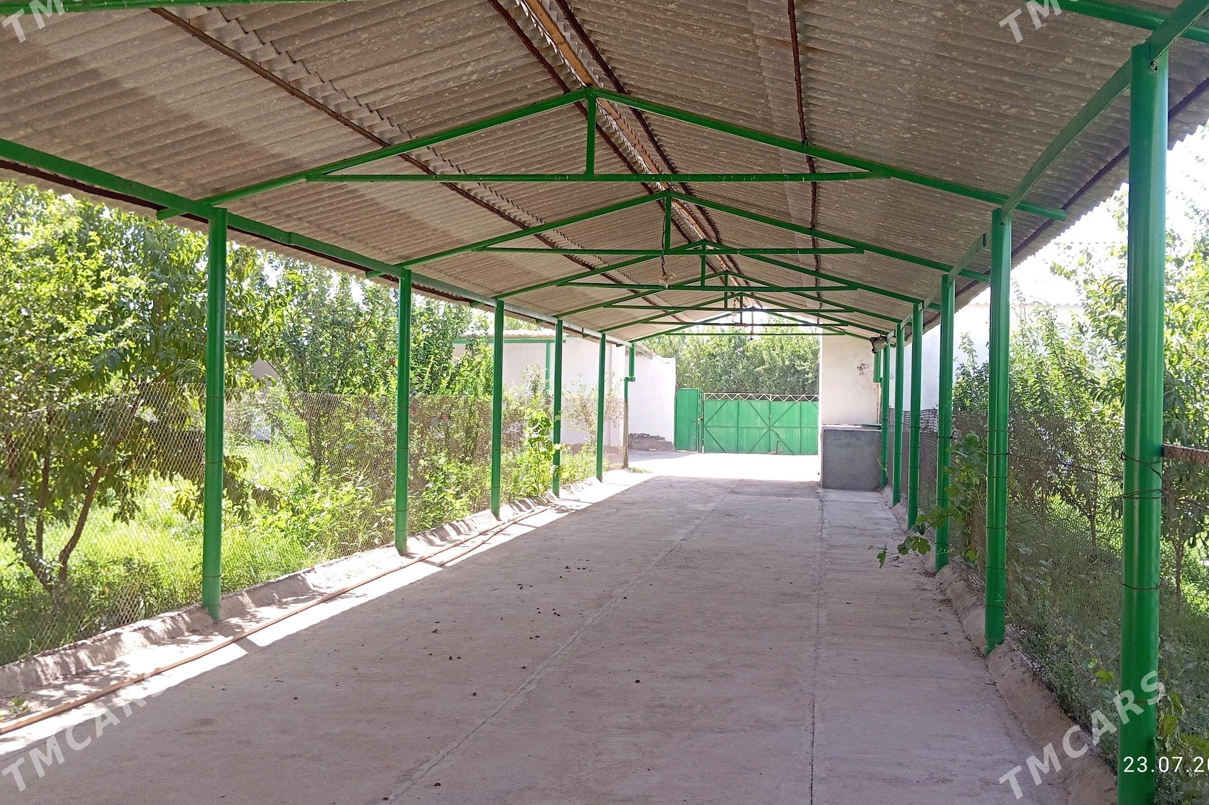 satlyk jaý - Бабадайхан - img 6