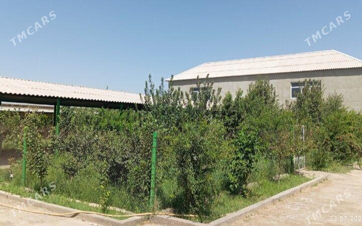 satlyk jaý - Бабадайхан - img 7