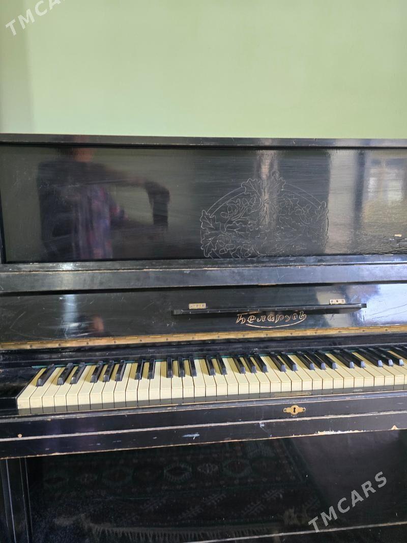 pianino - Änew - img 3