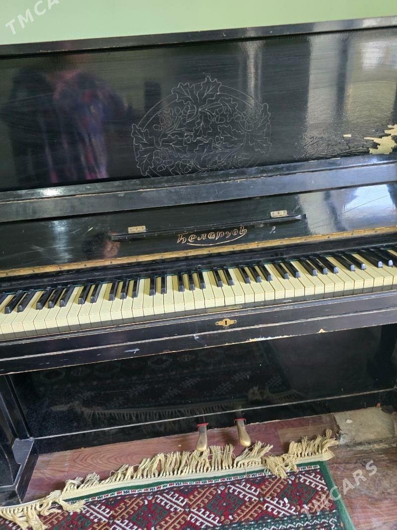pianino - Änew - img 2