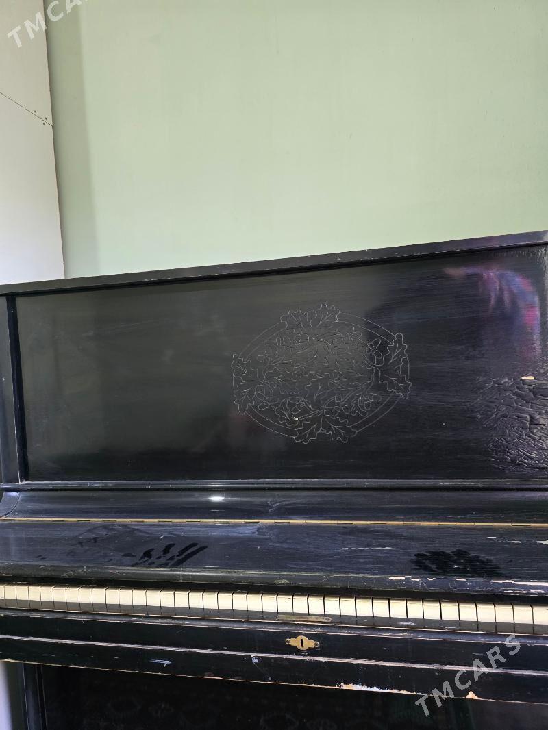 pianino - Änew - img 4