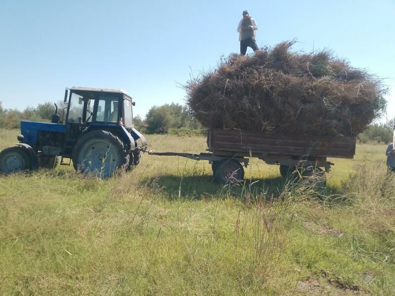 MTZ 82 2008 - 110 000 TMT - Kerki - img 8