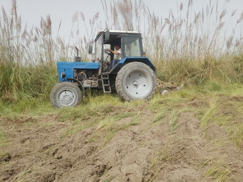 MTZ 82 2008 - 110 000 TMT - Kerki - img 9