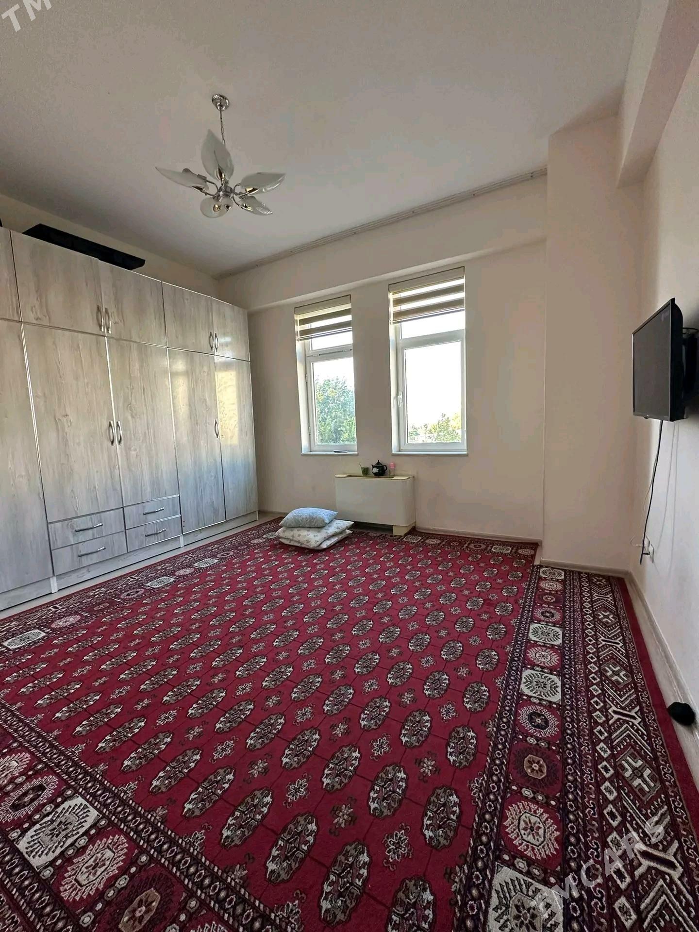 Taslama poluelitka Gülzemin - Кëши - img 4