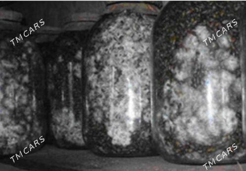 Satlyk komelek tohum,weşenka - Чарджоу - img 3
