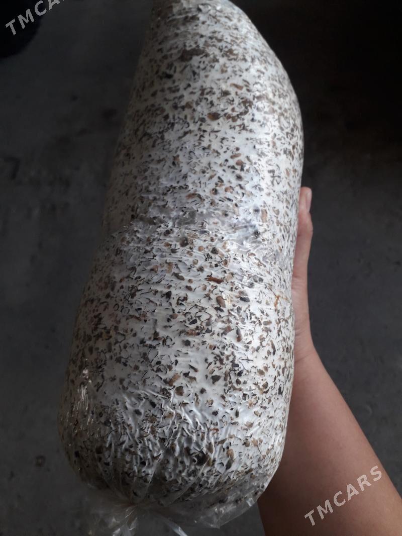 Satlyk komelek tohum,weşenka - Чарджоу - img 5