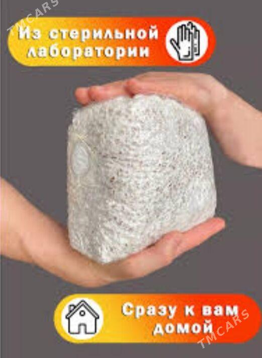 Satlyk komelek tohum,weşenka - Чарджоу - img 2